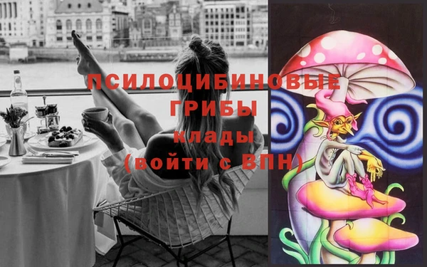 а пвп мука Кодинск