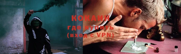 прущие грибы Корсаков