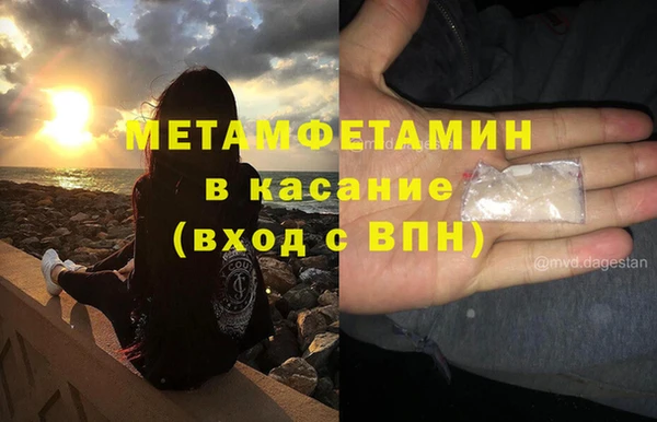 прущие грибы Корсаков