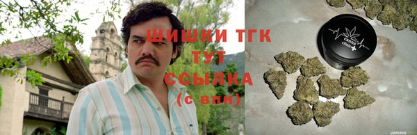 тгк Алзамай