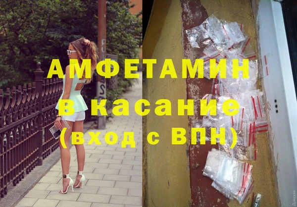 прущие грибы Корсаков