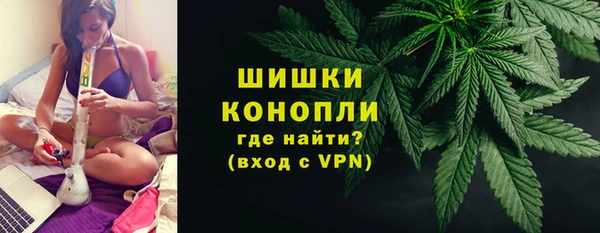 ГАЛЛЮЦИНОГЕННЫЕ ГРИБЫ Коряжма